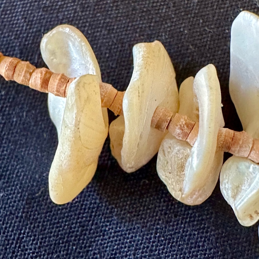 Shell Choker - Picture 8 of 8